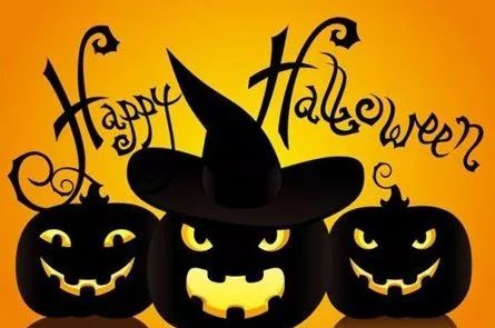 No.178永恒之花续写青春再生传说——蜡菊眼霜+面膜