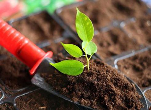 分解土壤固化物质,酸性土壤如何解磷解钾