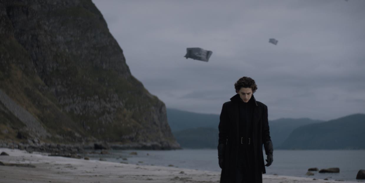 年底仅一部好莱坞大片定档,好莱坞大片即将上映的有哪些