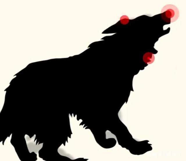 汪汪队比特犬街头咬住边牧,小型犬被边牧咬伤怎么办