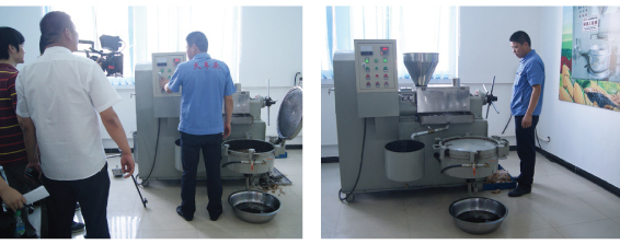 全自动榨油机小作坊项目,全自动榨油机一体