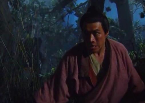 武松有打四虎吗,武松两次威震安平寨之事