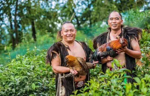 大理网红地方有哪些,云南大理网红景点洱海