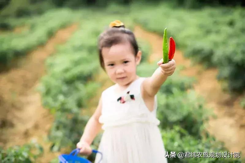 湘御明月湖,湘御明月湖山庄钓鱼