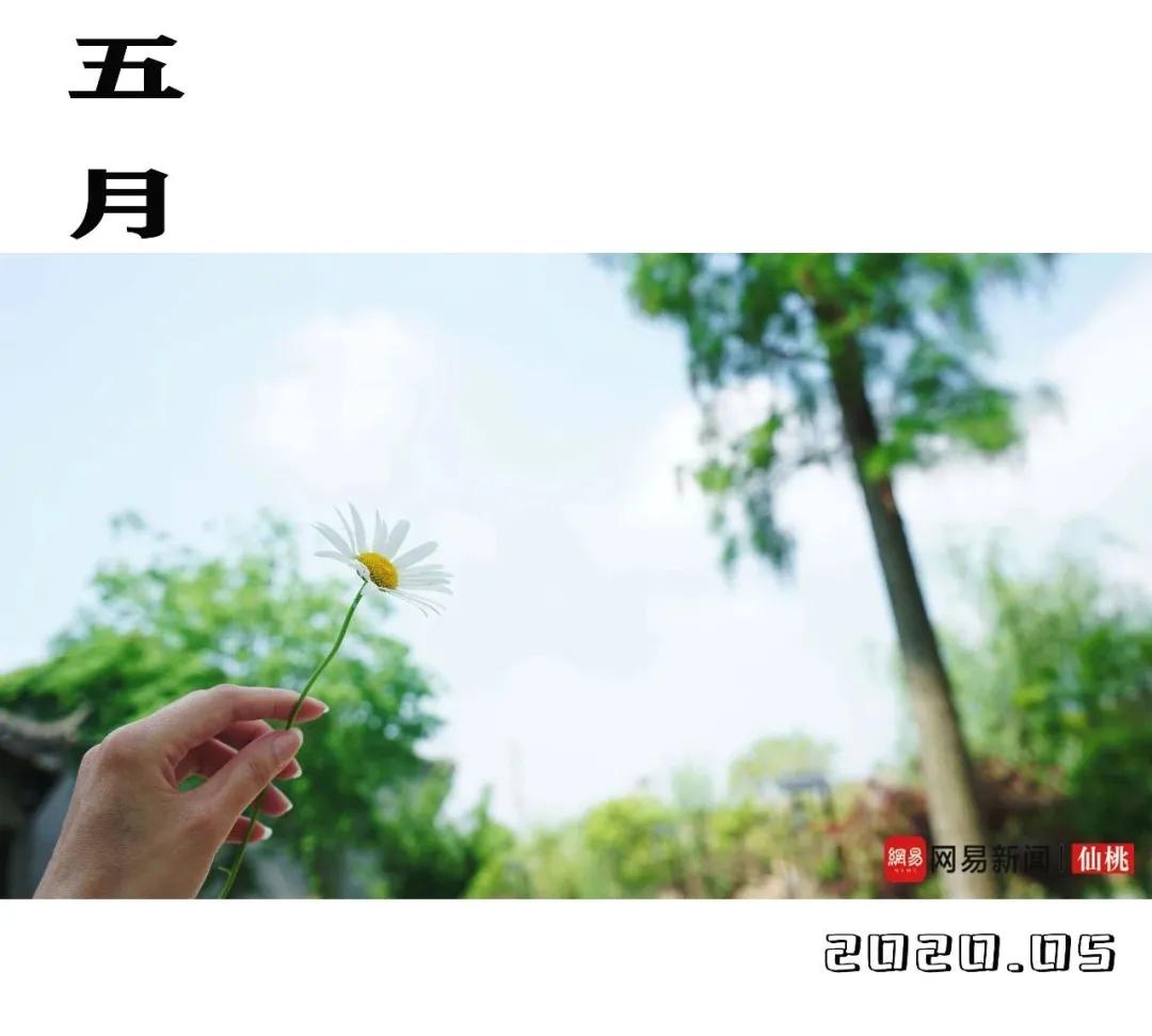 这六个月，仙桃过得怎么样？