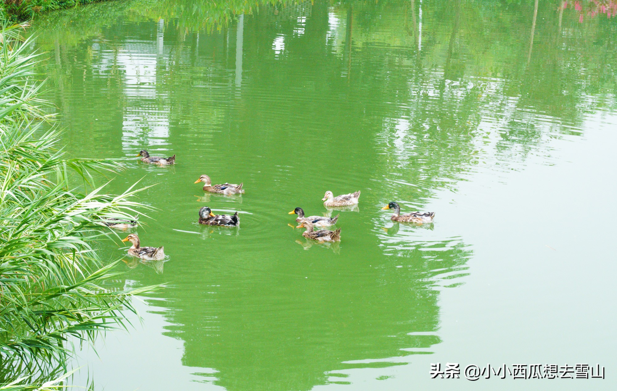 南宁周末好玩的地方,南宁周末休闲好去处