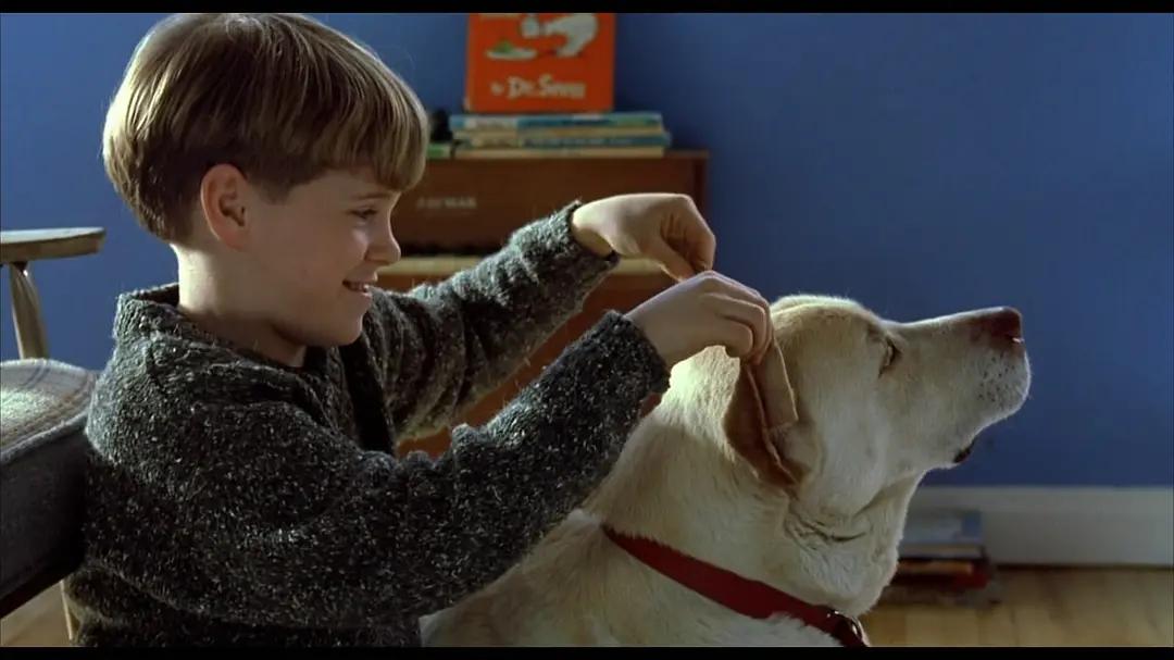 以《我是山姆》为例,谈谈现代职业女性如何化解“精神生态危机”