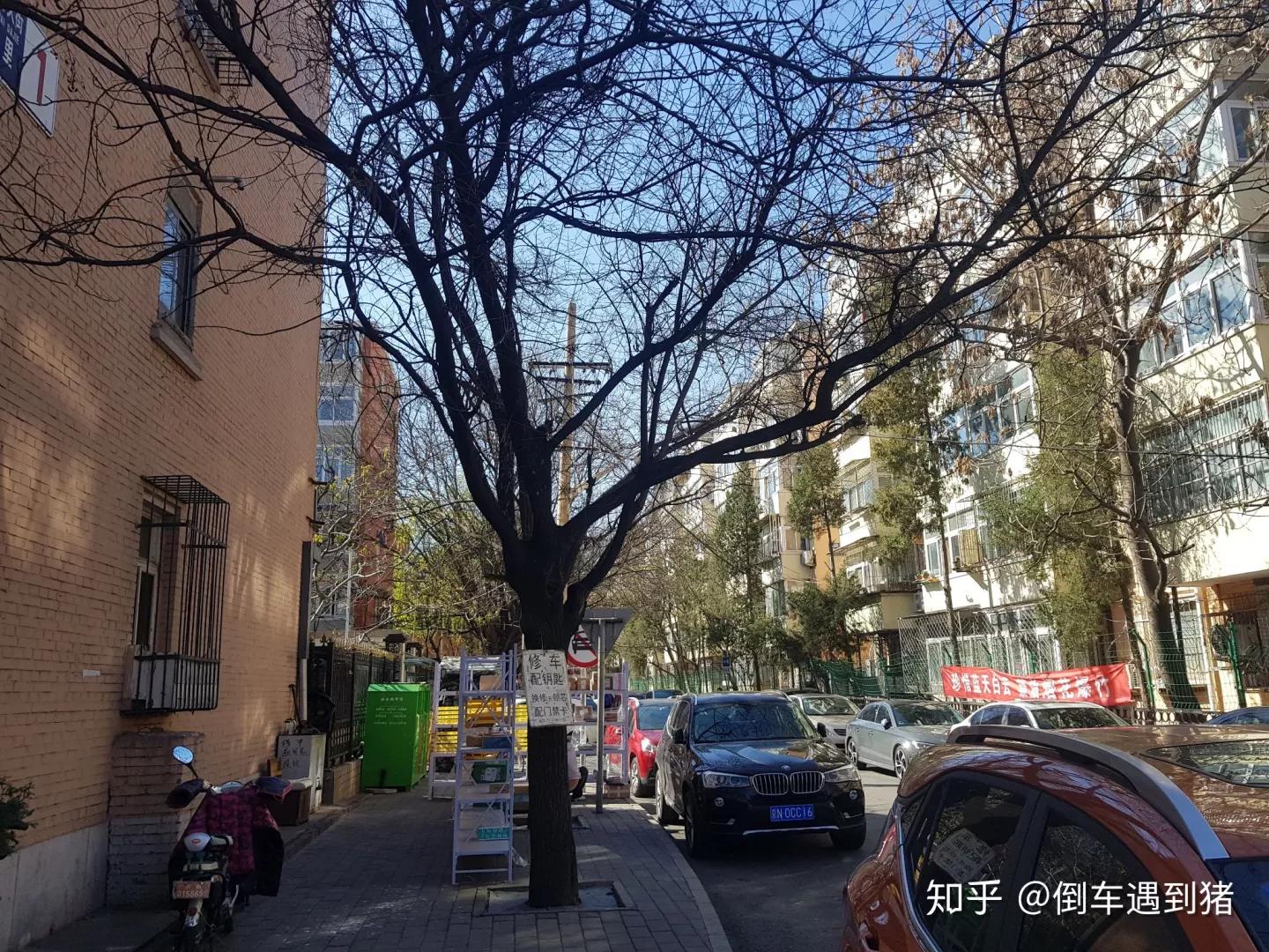 月坛中古友谊小学附近学区房,月坛片区育民小学简介