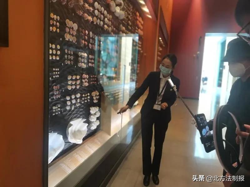 还有人从国外寄来20多只果蝠标本?海淘代购注意了,邮寄蜥蜴、盆景入境,可能会入刑!