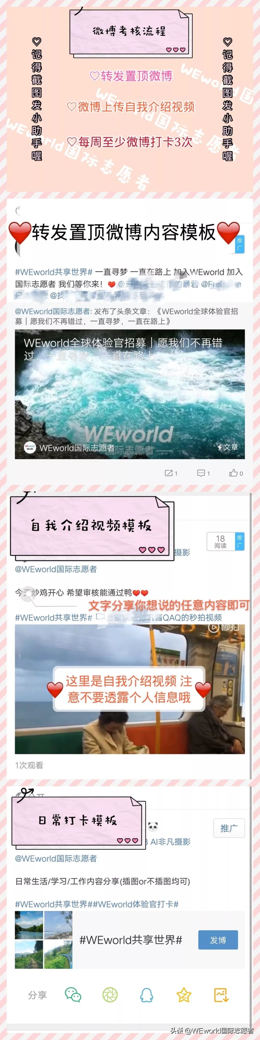 WEworld全球体验官招募|4大志愿者项目0元出发