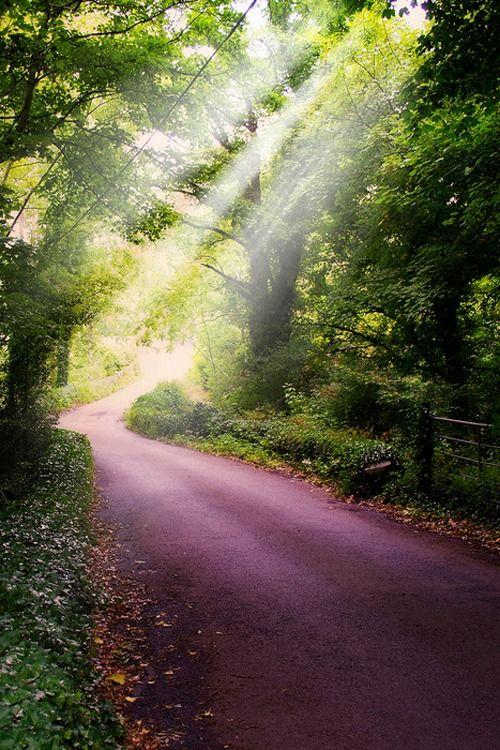 玛蒂尔德的七个梦想与现实的矛盾,现实与梦想反差不一样