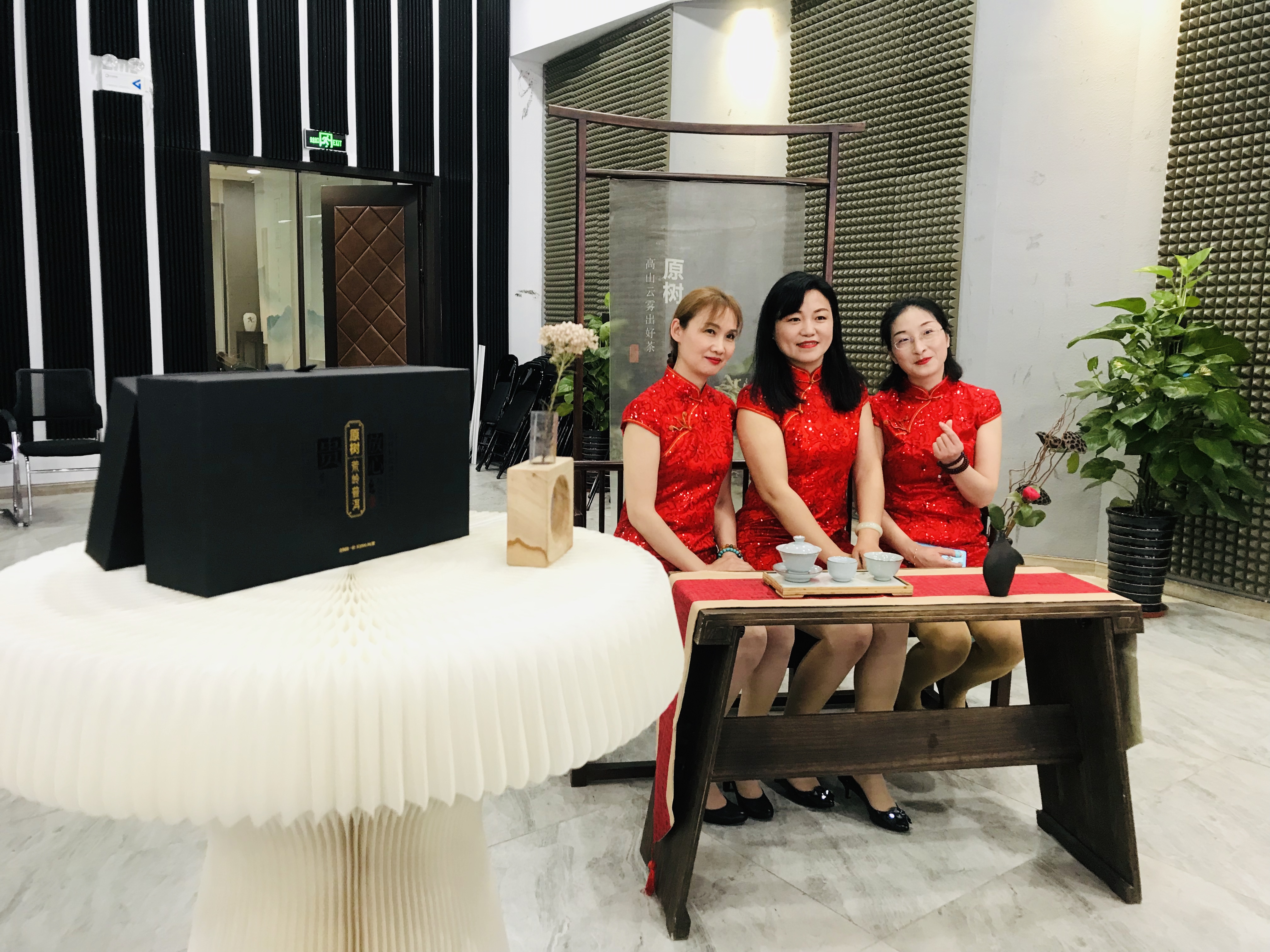 “原树茶”——“弦音似茶韵”百家筝鸣汇报音乐会圆满结束