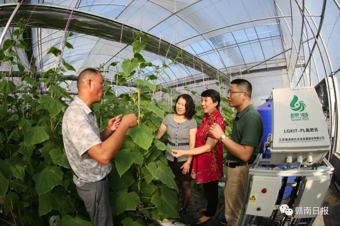 赣州市一批集体和个人获全省表彰,赣州举行表彰大会
