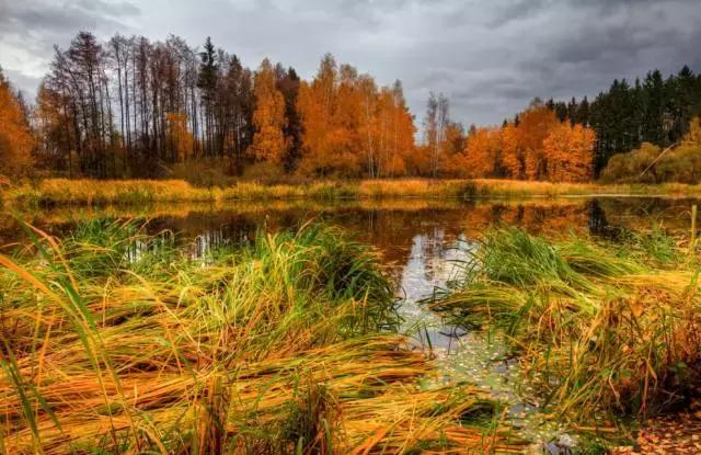 描写秋天句子作文素材,作文素材怎么写关于秋天