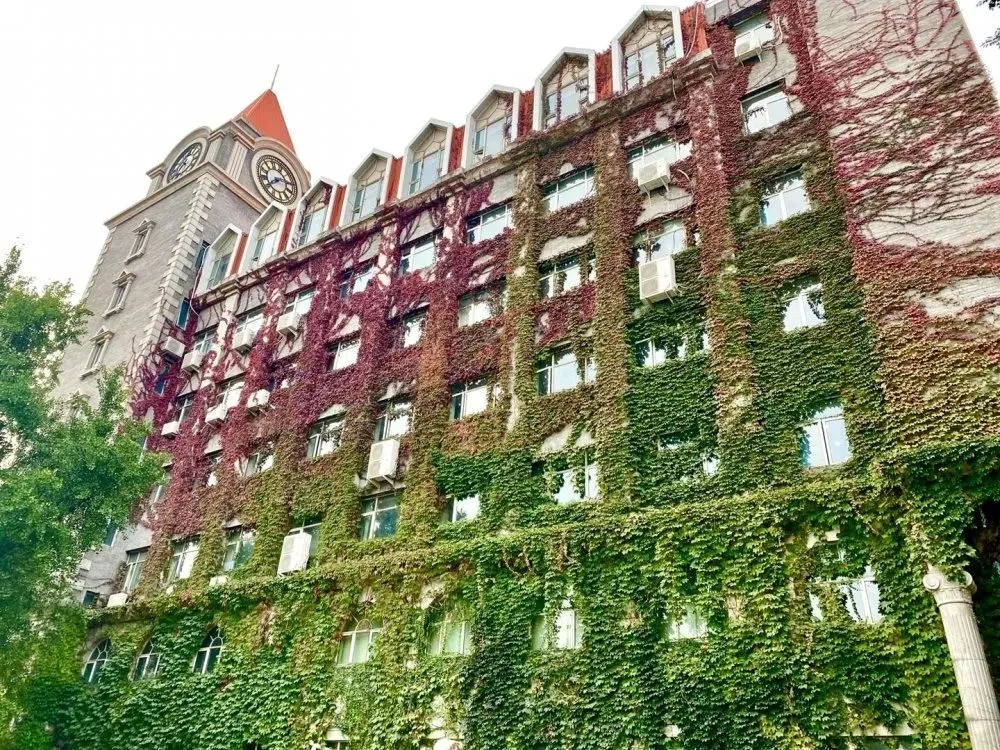 北京所有小学排名一览表,北京30所小学排名一览表