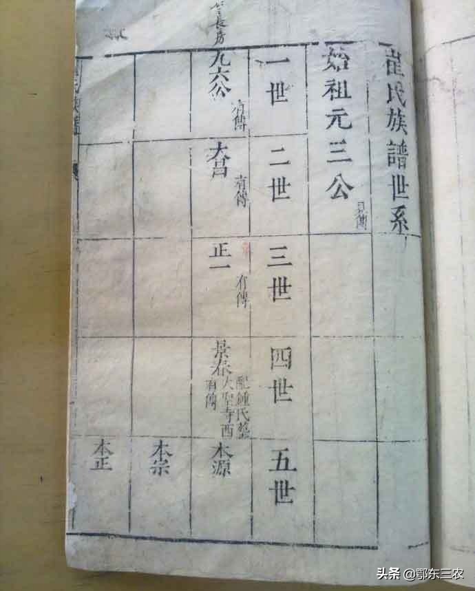 家谱排列用什么格式好,家谱族谱怎么排列得好