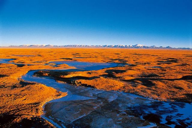 可可西里无人区很可怕吗知乎,阿里无人区和可可西里哪个可怕