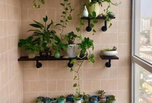 刚买回来的营养土怎么处理杀菌,营养土消毒方法和注意事项