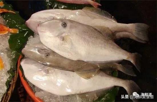 好吃不贵的海鲜种类有哪些,最好吃又最常见海鲜有几种