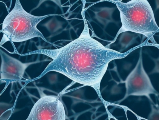 心血管疾病一定同型半胱氨酸高吗,吃半胱氨酸会引起心血管疾病吗