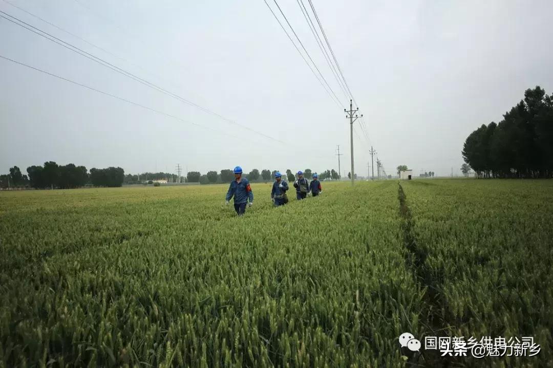 新乡故事:陌生人来电话要找辉县这四个人