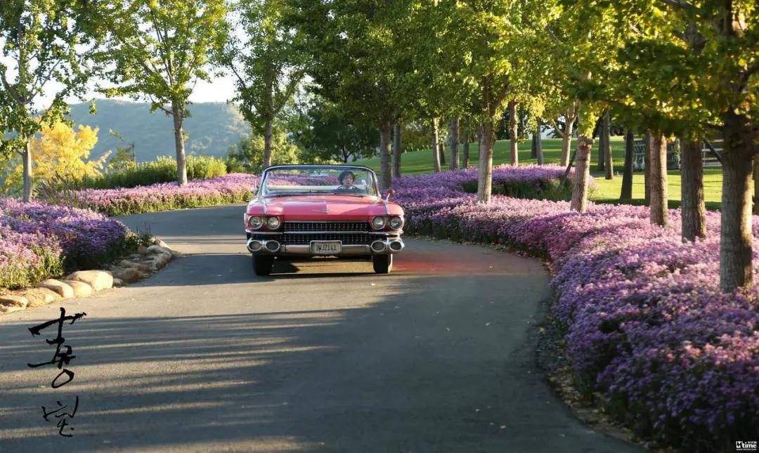 喜宝被老头打后续,喜宝喜欢石澳岛吗