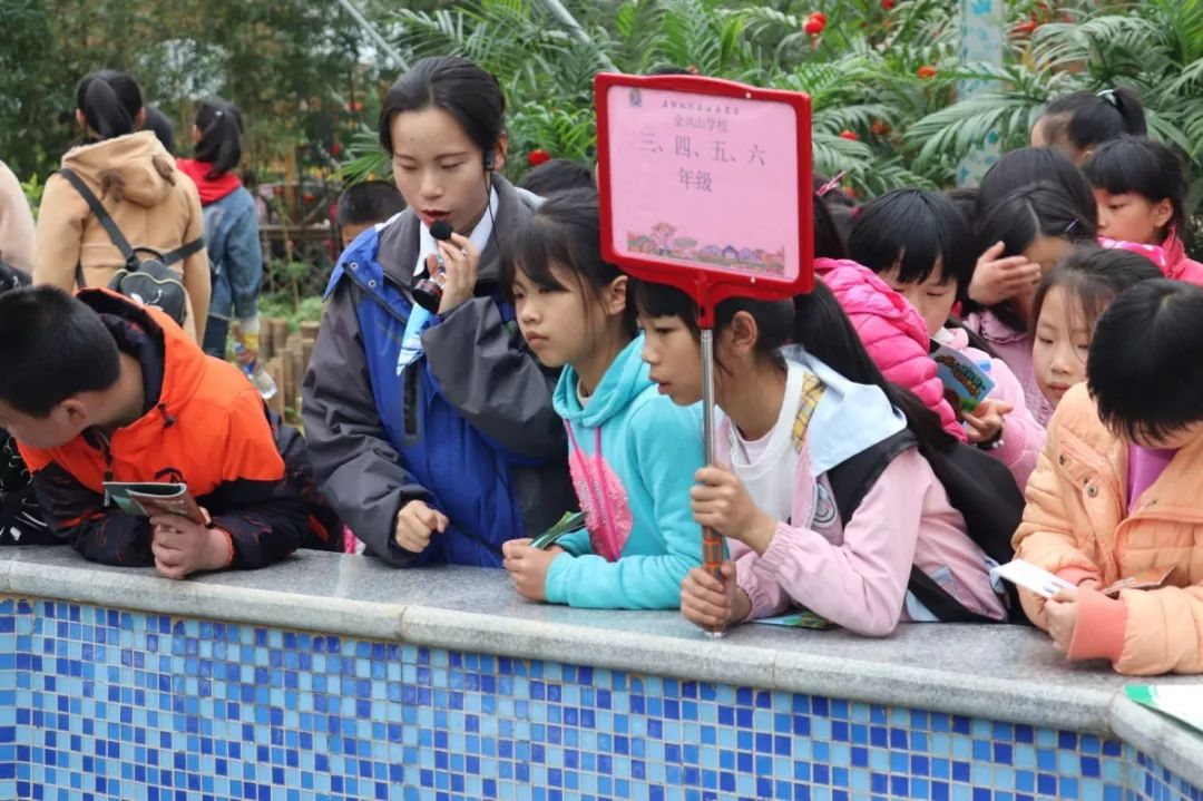 益阳有哪些适合踏春的地方,益阳附近踏春好去处