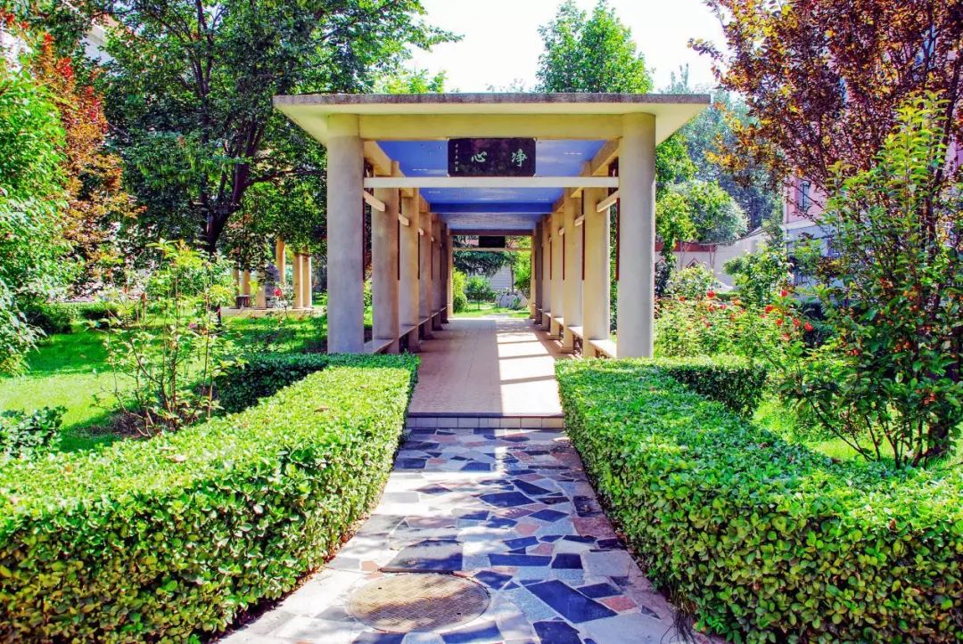 传承创新——北京市第十中学70年的成长蜕变