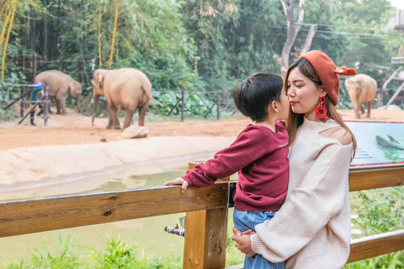 寒假亲子游推荐广东,广东自驾亲子游十大排名