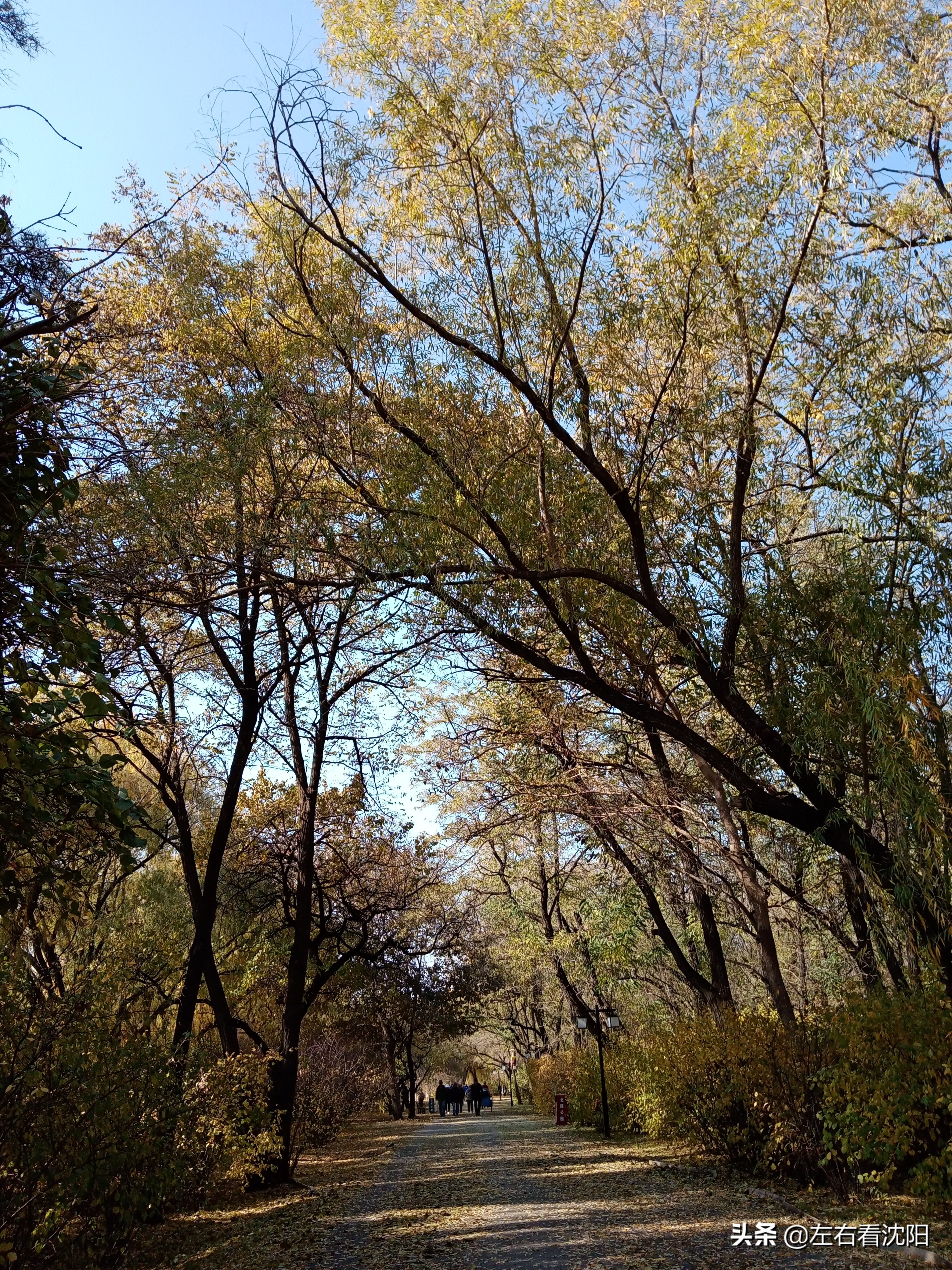 秋季沈阳北陵公园有啥好玩的,漫步沈阳北陵公园湖水边