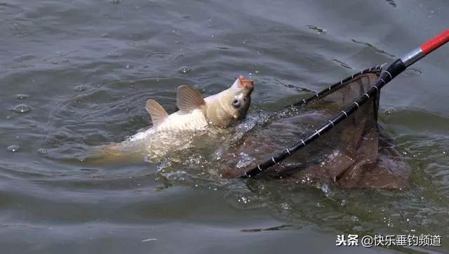 野钓跑鱼后最佳方法,野钓老是脱钩怎么回事