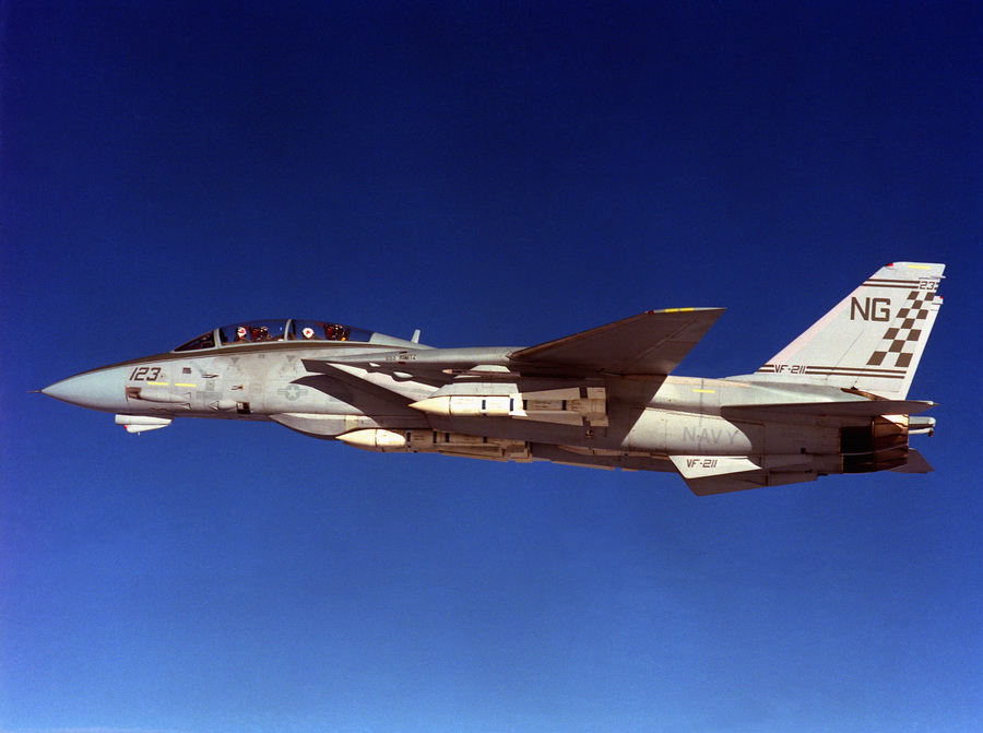 猫咪需要哪些用品,猫迷惑新技能