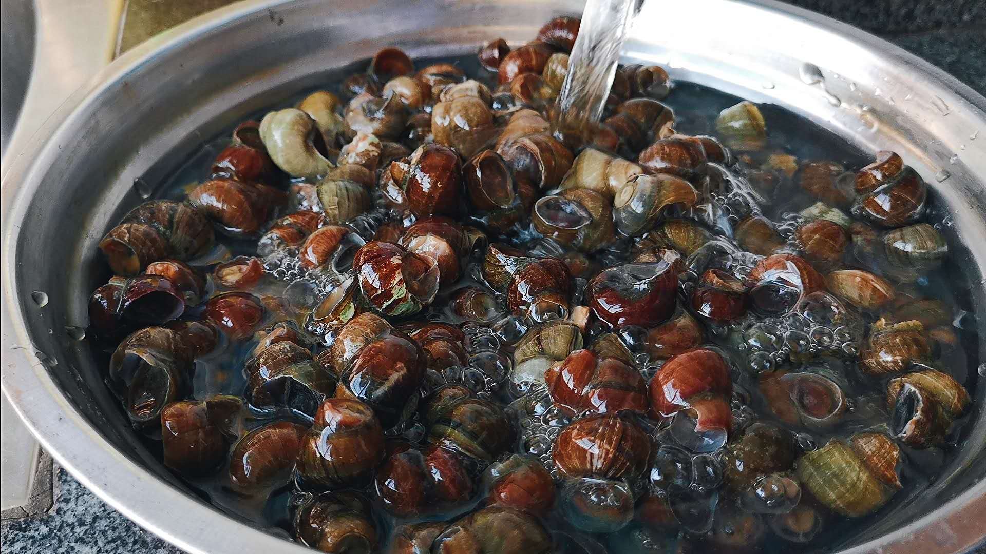 田螺怎么做又正宗又好吃,大厨教你田螺的创新做法