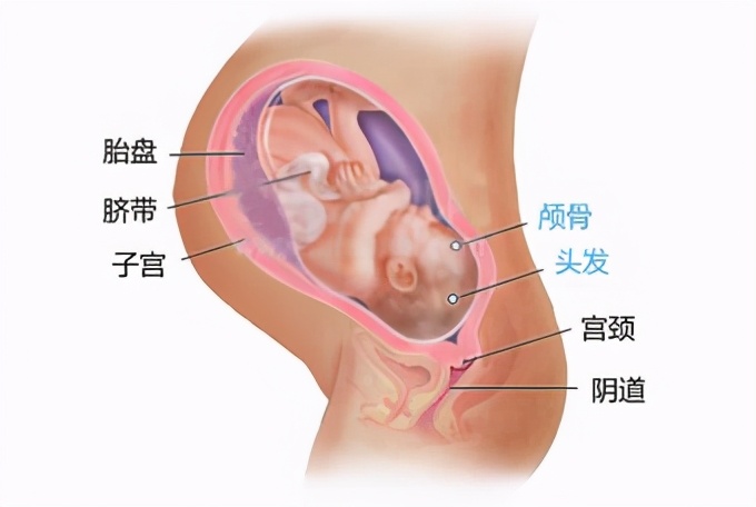 产后喂母乳妈妈不长肉怎么吃,产后多吃这些涨奶不长肉