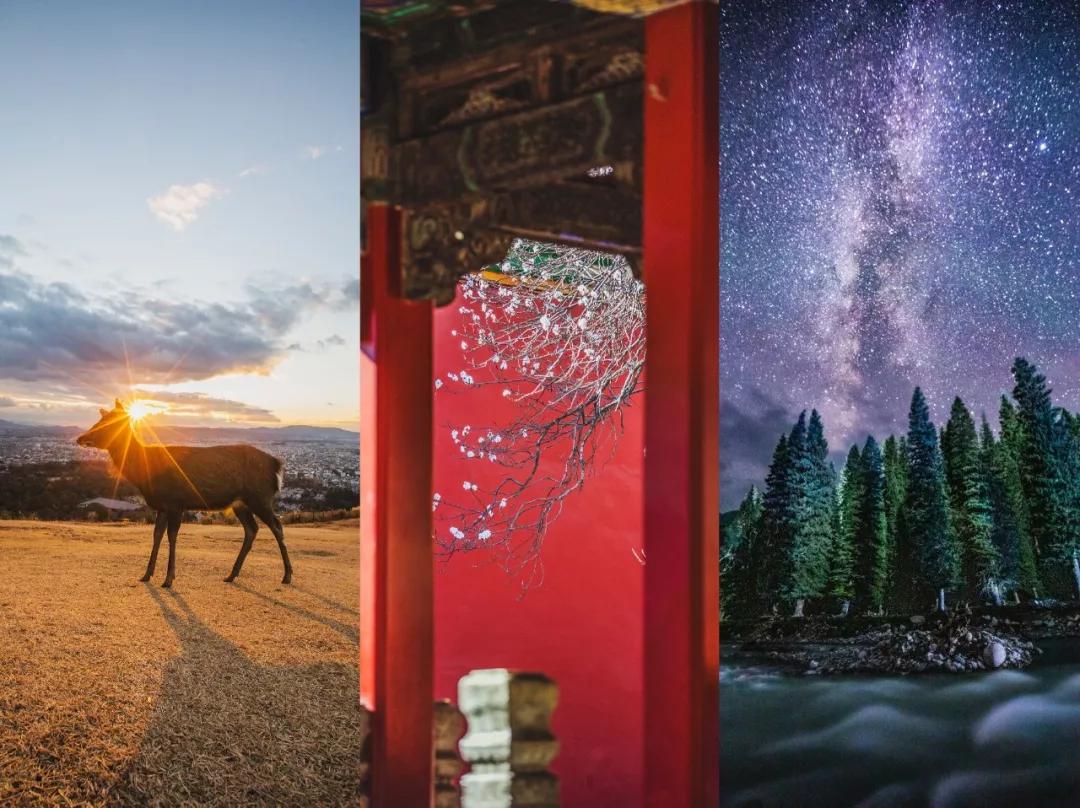 免费摄影入门教学,宅家不如学跳舞教学