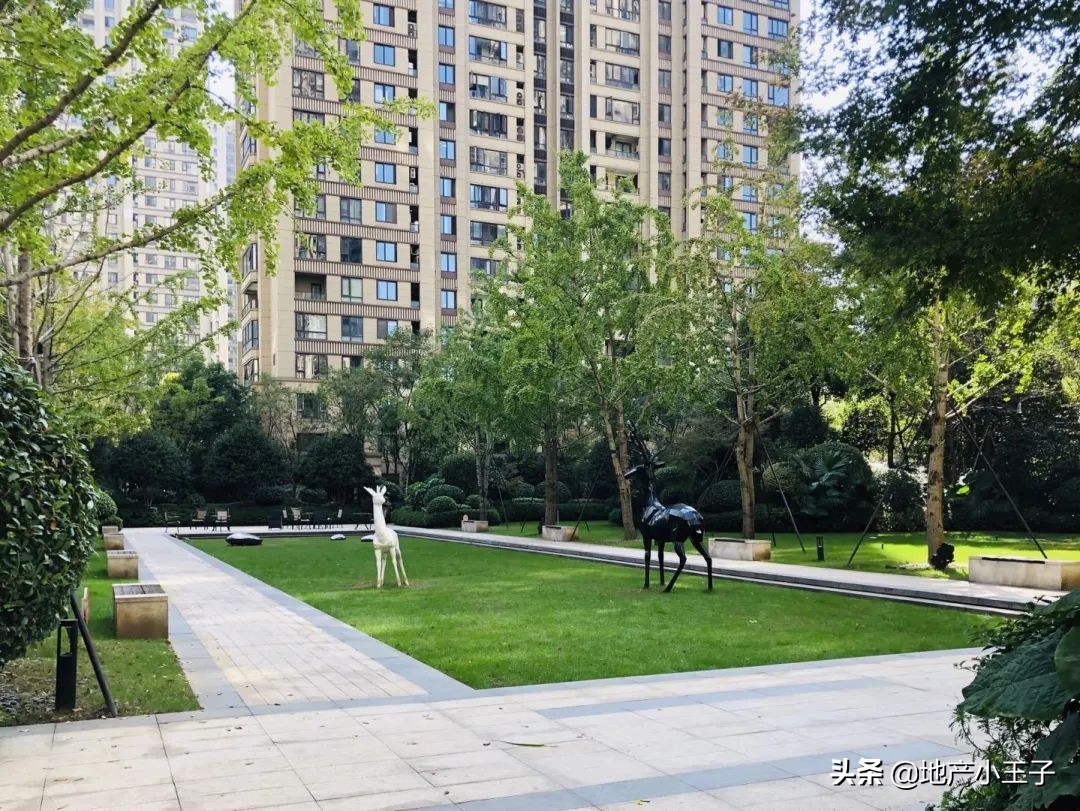 奥特三兄弟最新进展,奥体新三兄弟哪个好