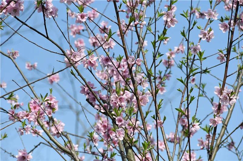 中医院皮肤科过敏,皮肤科医生皮肤过敏最快缓解方法