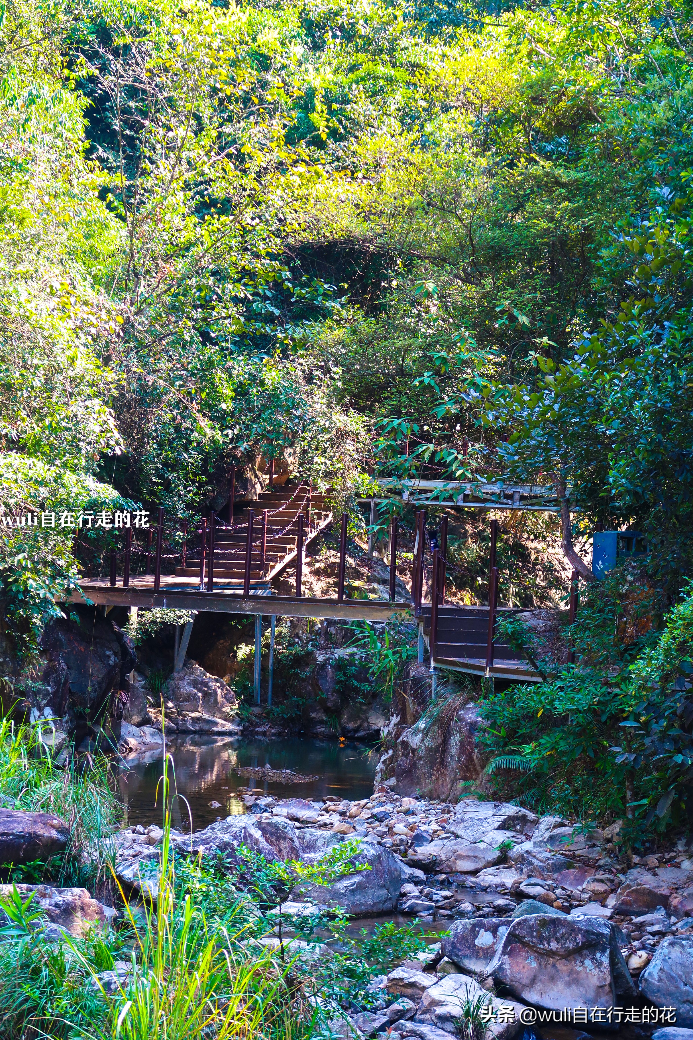 漳州长泰十里蓝山攻略,长泰县十里蓝山