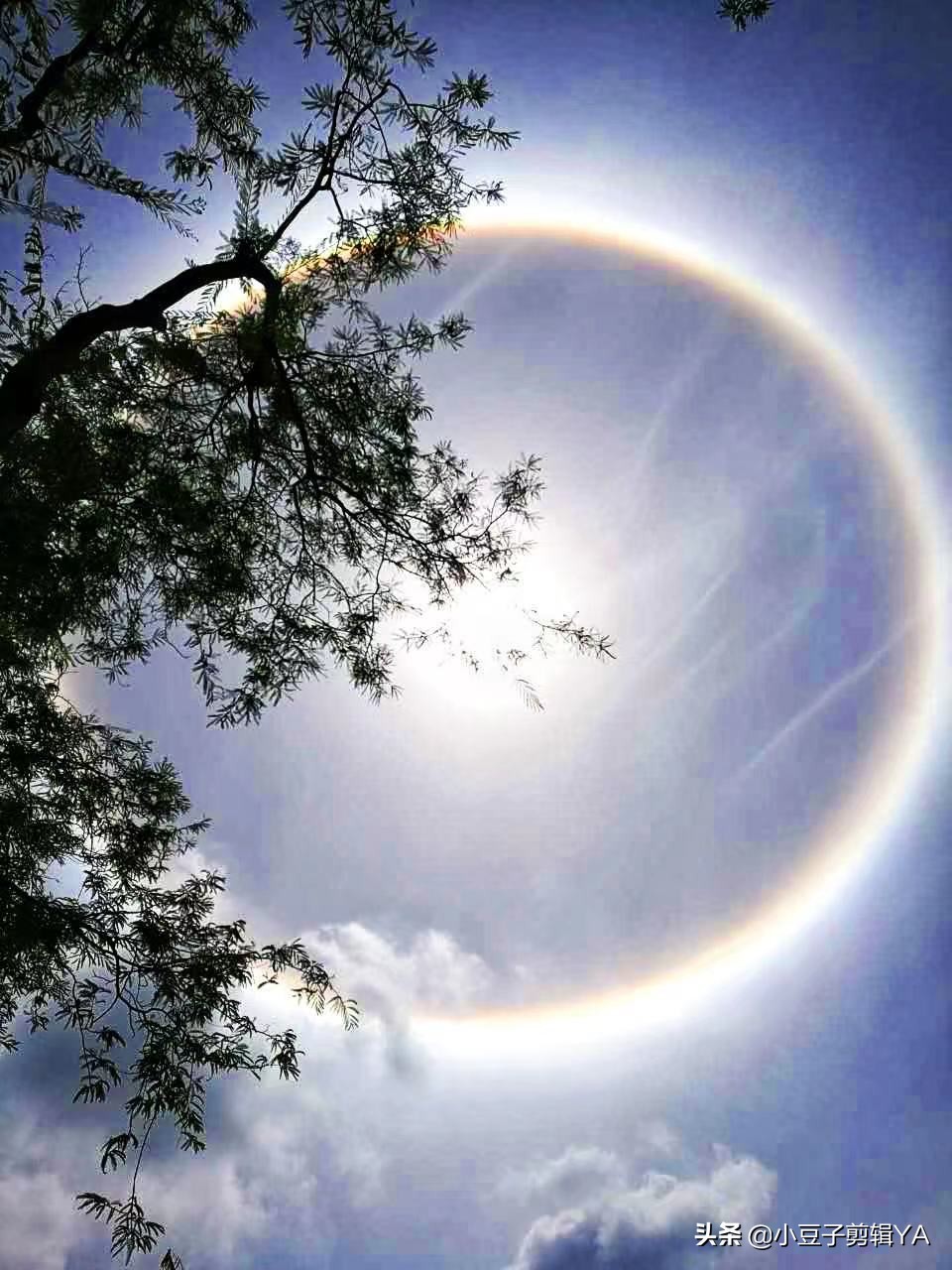 我的泰国之旅—“走马观花”!旅游到底是自由行好还是跟团好呢?