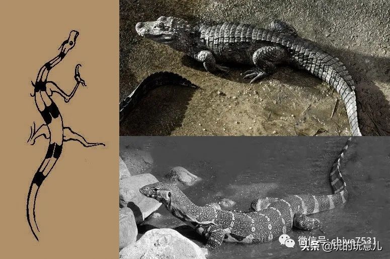 中国画孔雀名作,中国名画孔雀