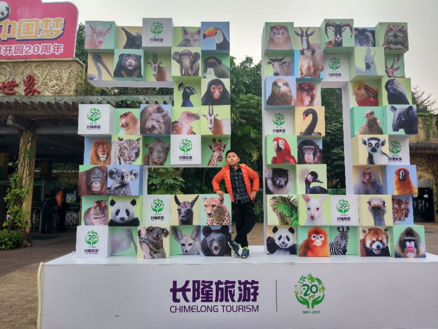 广州番禺区长隆野生动物世界缆车,广州旅游长隆野生动物世界