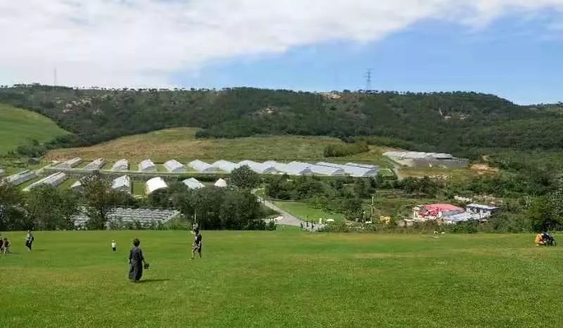 大连重阳节旅游攻略,大连九月秋游攻略