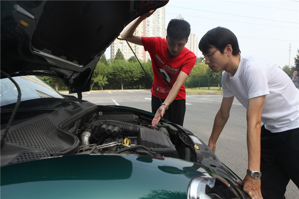 绿色的甲壳虫车,绿色小甲壳虫车