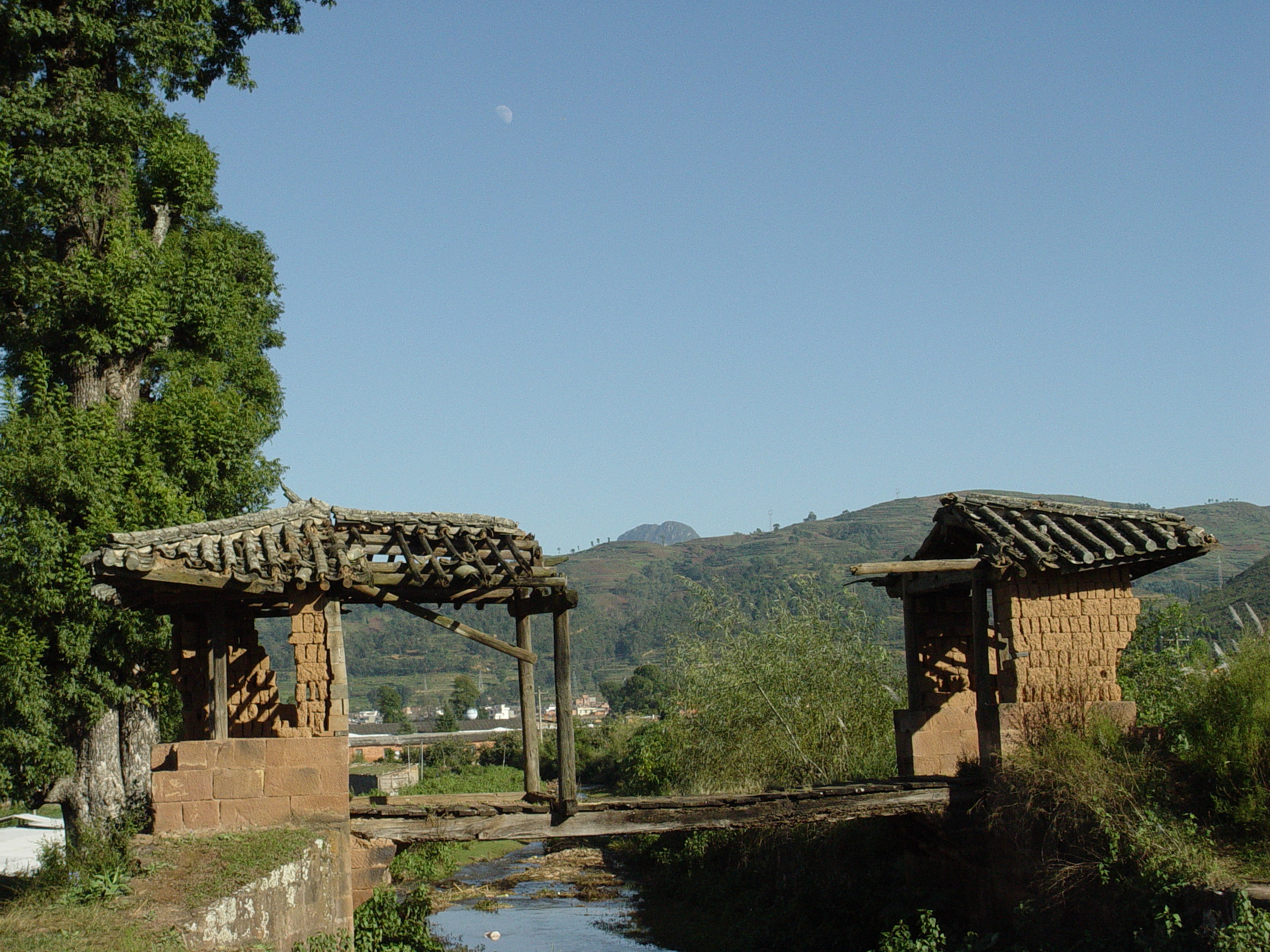 梵高的廊桥遗梦讲了啥,梵高的塞纳河与桥