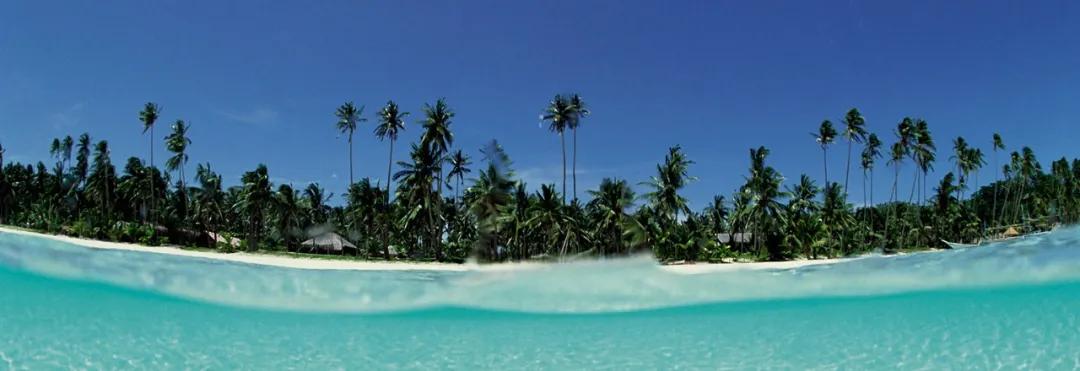 无需检测“开国门”，坦桑尼亚如此重启旅游