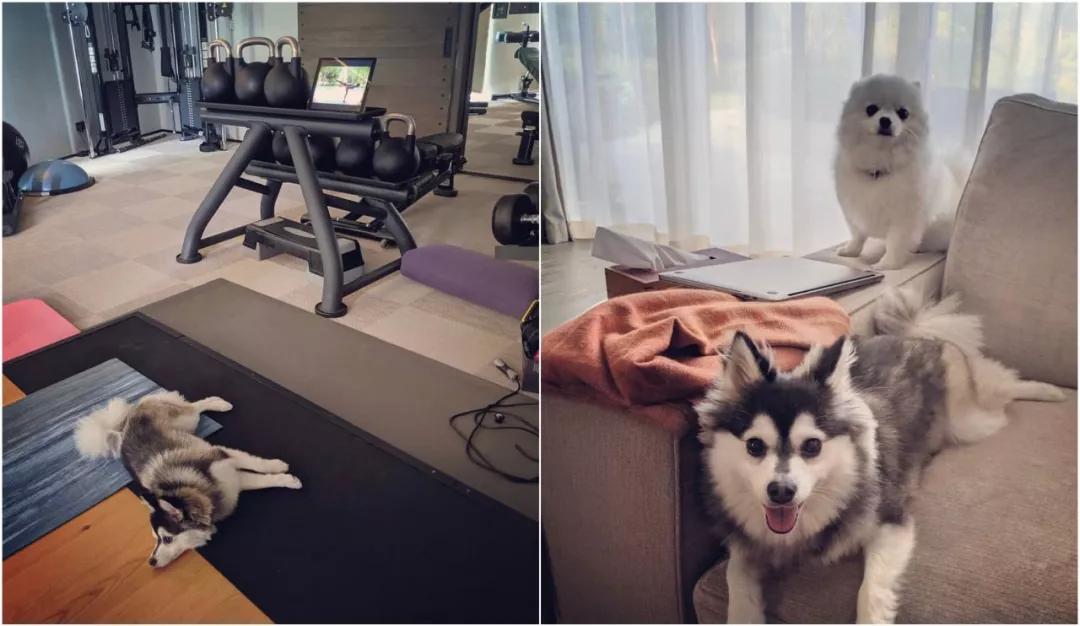 邓丽君心酸坎坷的一生,邓丽君经历过几次婚姻