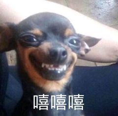 用4g网络会限流吗,用4g网络才能免流量对吗