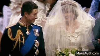 戴安娜英国王妃,戴安娜王妃为什么被捧得那么高