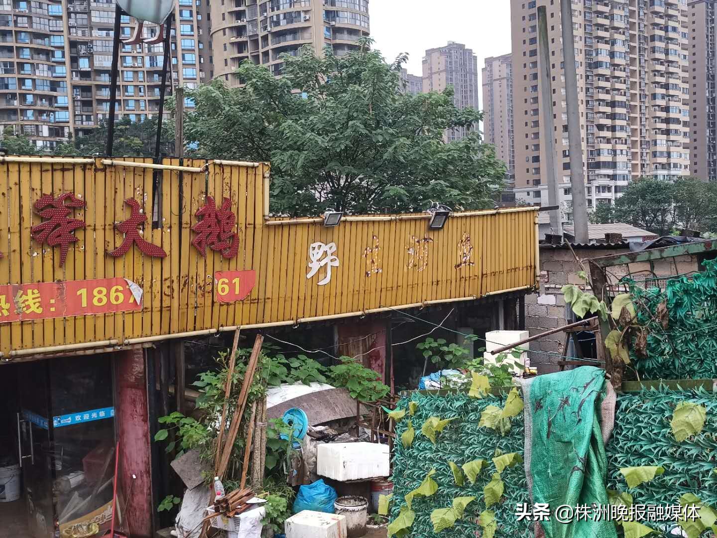 鄂州市市场监督管理局专项整治,市场监管长江禁渔案件