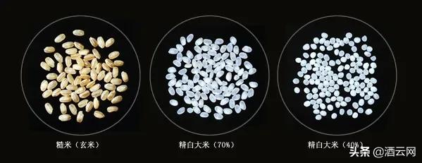 日料清酒入门,日本清酒入门知识大全